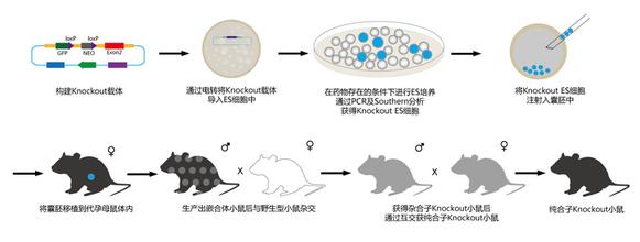 17ab7704-4f64-48a0-8577-166cf639ece6 6008集团官方网站(中国)股份有限公司