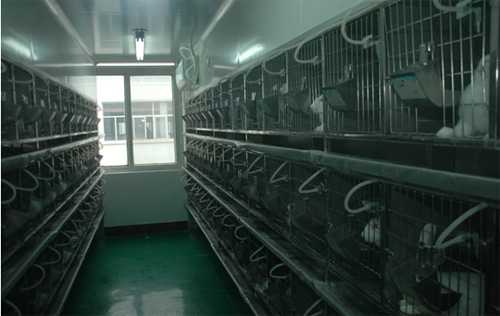 6008集团尝试动物房