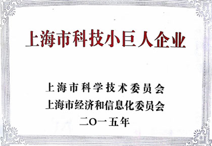 6008集团获“上海市科技幼巨人企业”荣誉称号