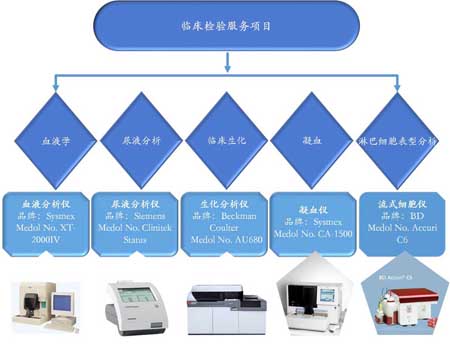 6008集团临床检验服务 6008集团临床检验服务