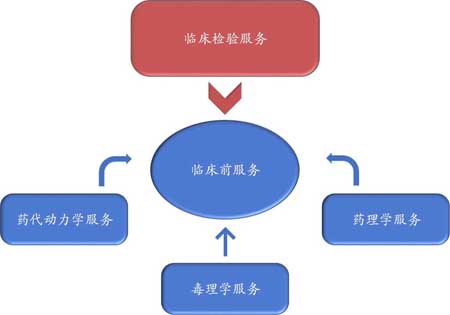 6008集团临床前服务 6008集团临床前服务