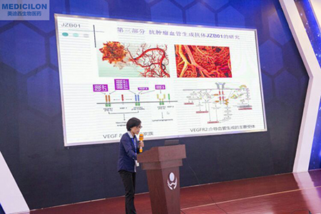 中国药科大学张娟副教授作抗肿瘤血管天生抗体JZB01钻研汇报 中国药科大学张娟副教授作抗肿瘤血管天生抗体JZB01钻研汇报