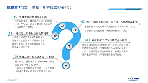 6008集团 调换参比造剂 李国栋博士演讲PPT 6008集团 调换参比造剂 李国栋博士演讲PPT