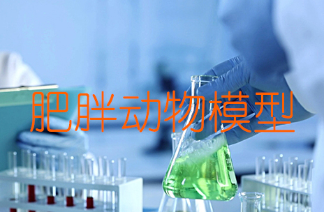 肥胖动物模型 肥胖动物模型