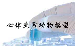 心率变态动物模型 心率变态动物模型