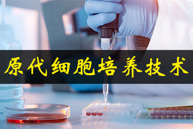 原代细胞造就技术 原代细胞造就技术