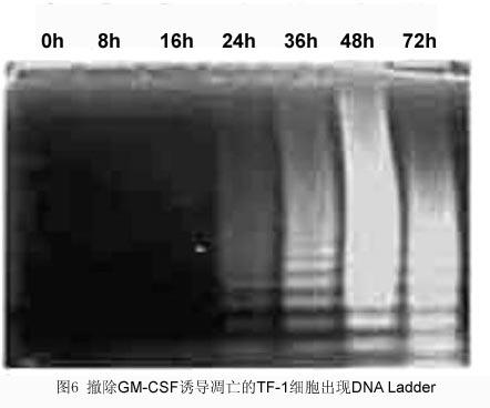 f0891cfb-1c45-4df1-8e14-59d58f6ba080 6008集团官方网站(中国)股份有限公司