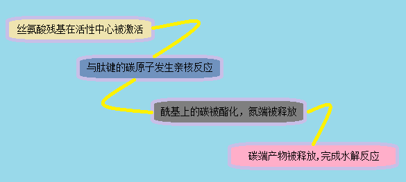 7cc2dfa4-41b0-4fd2-8133-d121272a4b5a 6008集团官方网站(中国)股份有限公司