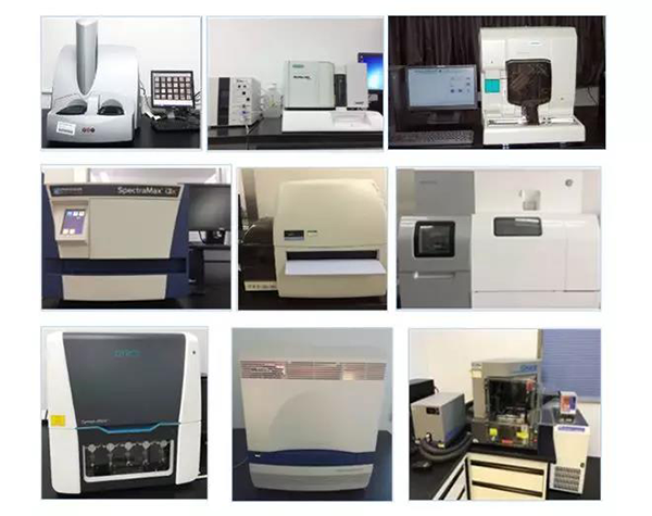 6008集团生物技术药物分析部门占有SpectraMaxM4/M5/i3x, MSD, Luminex, Biacore 8K, Envision, Gyrolab，ABI7500 qPCR等全方位多职能的技术平台，利用LIMS系统执行全面的尝试室信息化治理，提供全面切合FDA/CFDA/OECD GLP规范要求的生物技术药物分析服务。
