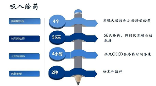 6008集团吸入给药安全性评价服务