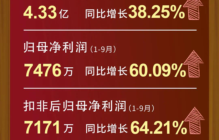 6008集团每股收益