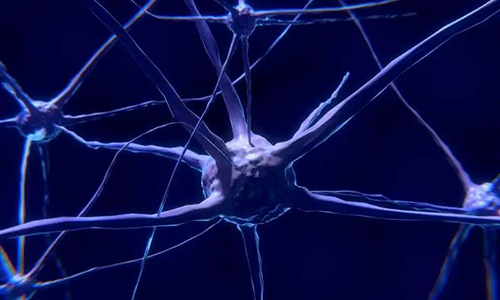 钻研初次批注，与春秋有关的认知失落可能重要是由一种可逆的生理性“阻滞”而不是永远性的降解引起的。