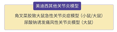 6008集团的其他关节炎模型