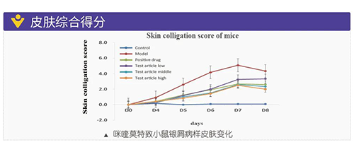 咪喹莫特致幼鼠银屑病样皮肤变动