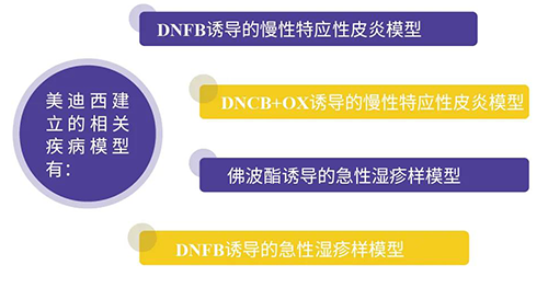 6008集团成立的特应性皮炎及湿疹模型