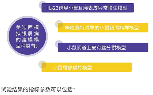 6008集团仿照银屑病的建模模型种类