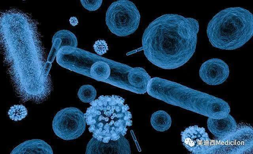 20分钟，大无数细菌都能够繁衍一代 6008集团生物医药