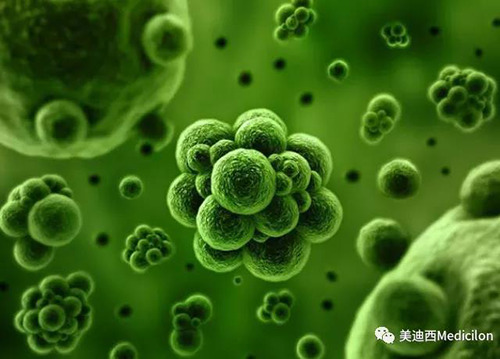 1分钟，全中国就有7.5人被确诊为患癌 6008集团生物医药