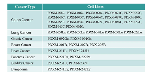 PDX幼鼠肿瘤模型 PDX幼鼠肿瘤模型