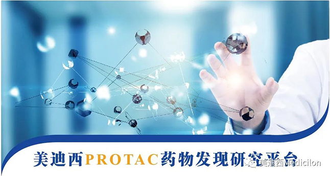 f63ed7a7-1bb9-4bc7-93e4-0d525223c2e3 6008集团PROTAC药物发现钻研平台