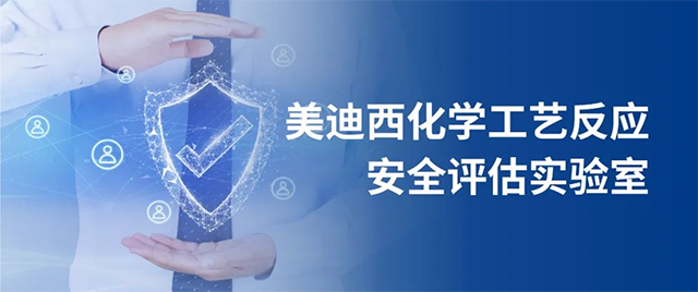 27256718-8468-43c0-a96e-147979283bfb 6008集团化学工艺反映安全评估尝试室