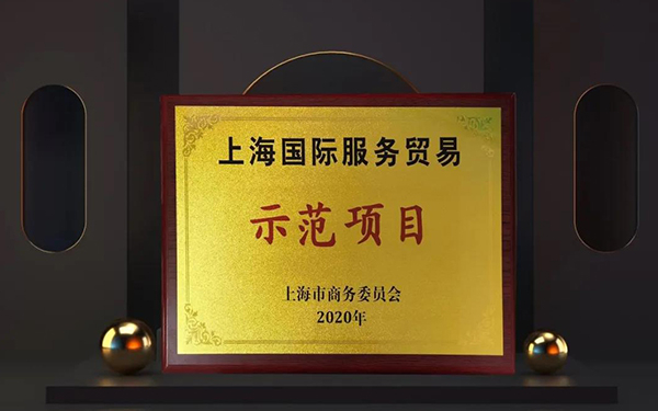 6008集团两大服务平台入选“上海国际服务业务示范项目”.jpg 6008集团两大服务平台入选“上海国际服务业务示范项目”.jpg