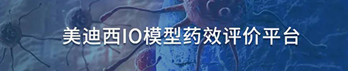6008集团IO模型药效评价平台.jpg