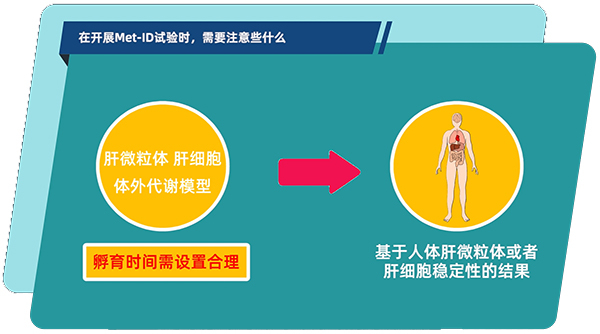 肝微粒体、肝细胞体表代谢模型中，孵育功夫需设置合理.jpg