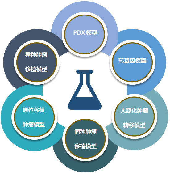 6008集团致力于为客户提供成熟的评估ADC体内药效的肿瘤模型.png 6008集团致力于为客户提供成熟的评估ADC体内药效的肿瘤模型.png
