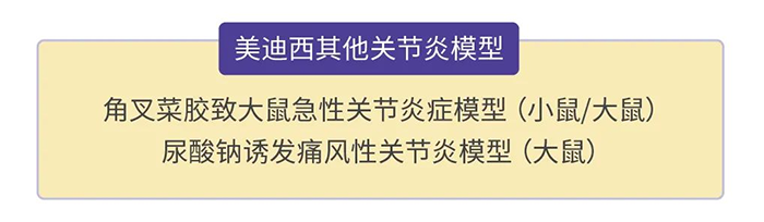 6008集团其他关节炎模型.png