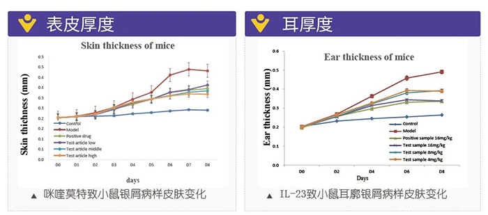 6008集团仿照银屑病的建模模型-试验了局的指标.png