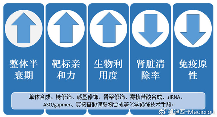 化学建饰技术对核酸药物影响.jpg 化学建饰技术对核酸药物影响.jpg