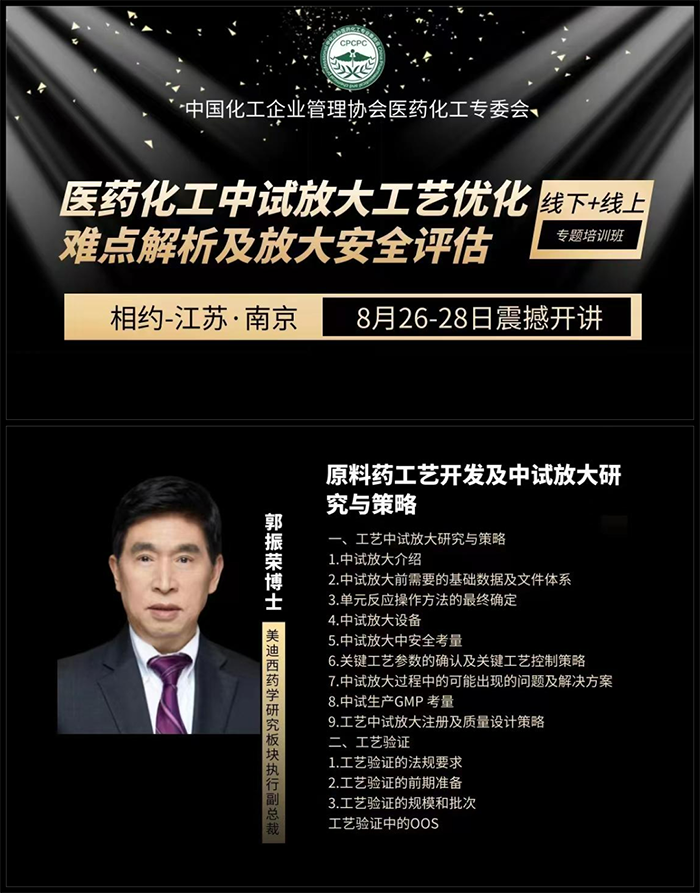 原料药工艺开发及中试放大钻研与战术.png 原料药工艺开发及中试放大钻研与战术.png
