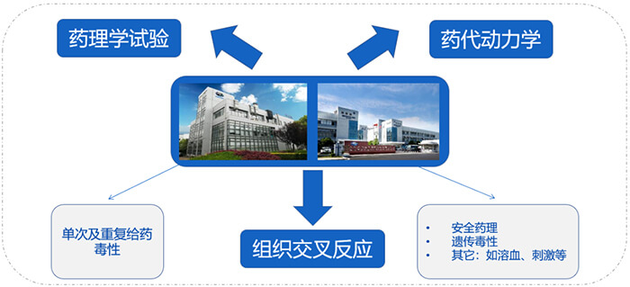 6008集团ADC药物研发服务内容.jpg