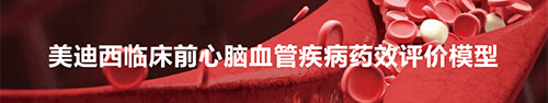 6008集团临床前心脑血管疾病模型.jpg