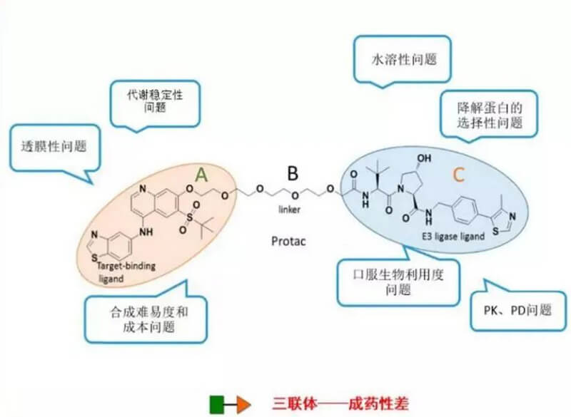 PROTAC分子量较大，溶化性较差.jpg