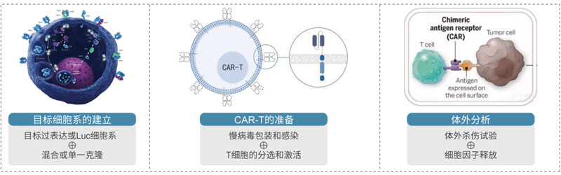 CAR-T的造备与评价.jpg CAR-T的造备与评价.jpg