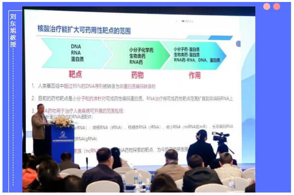 6008集团幼核酸和抗体特邀专家刘东旭教授.jpg