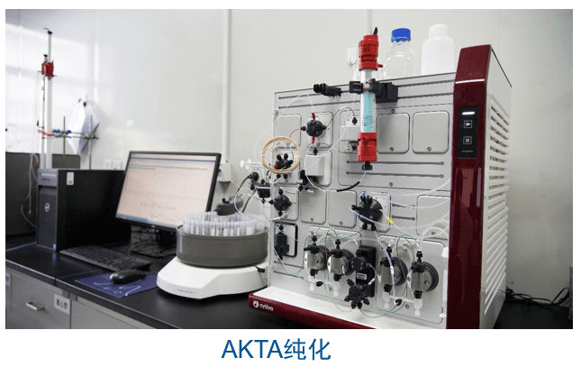 6008集团杂交瘤技术平台设备-AKTA纯化