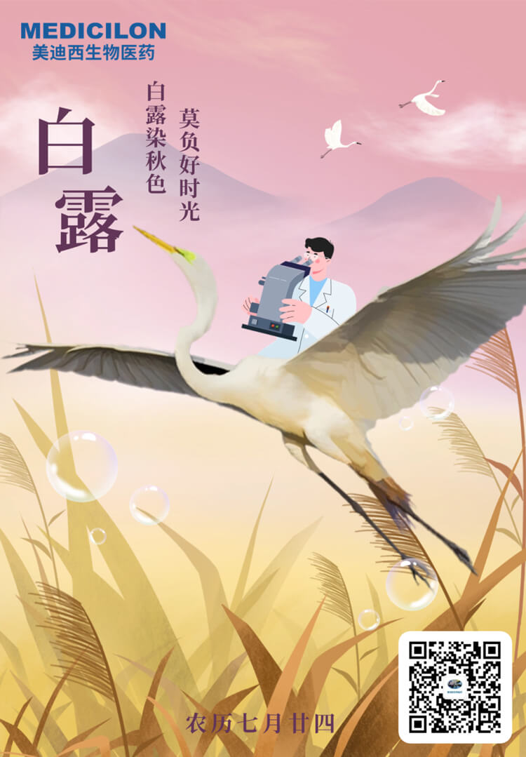 白露染秋色，莫负好时光.jpg