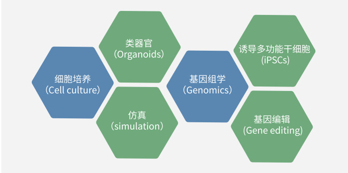 六大技术板块已上线，持续升级中.jpg