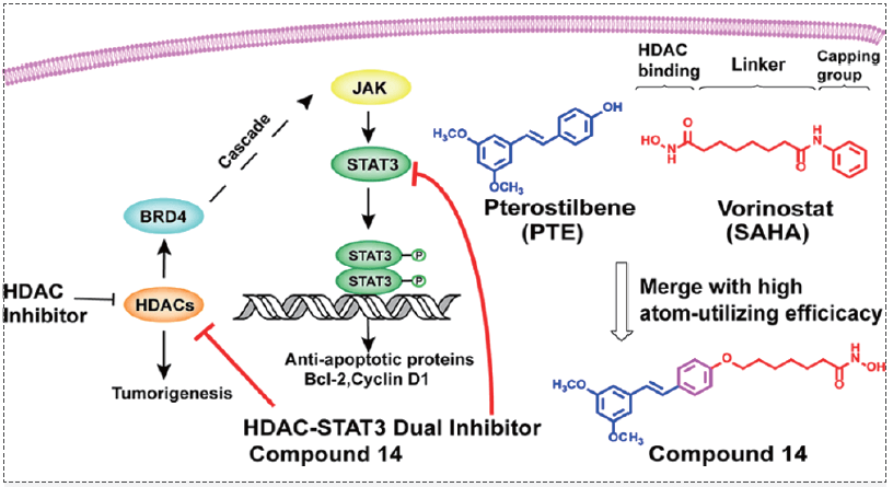 HDAC-BRD4-LIFR-JAK-STAT3信号级联反映.png HDAC-BRD4-LIFR-JAK-STAT3信号级联反映.png