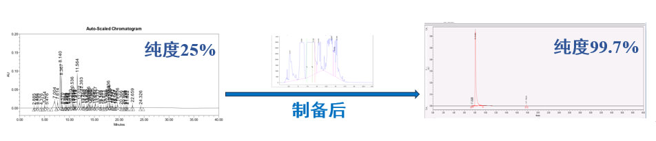 案例一：仿造药发补：大极性杂质造备.jpg