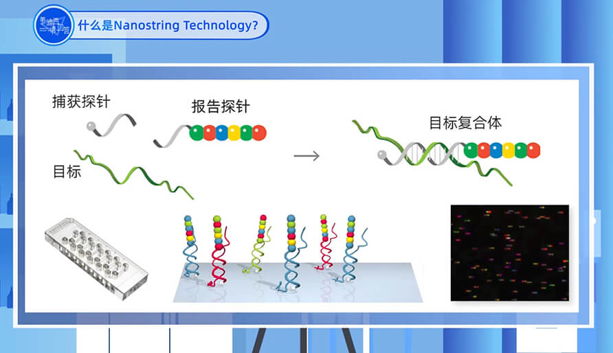 什么是Nanostring 技术？