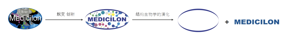 椭圆形作为天然界的美满状态，象征着6008集团在适应环境变动中不休演化