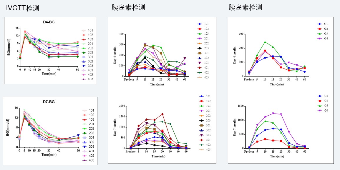 案例4:食蟹猴IVGTT和胰岛素检测尝试.jpg 案例4:食蟹猴IVGTT和胰岛素检测尝试.jpg