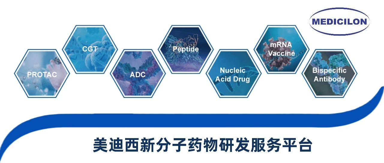 6008集团新分子类型药物研发服务平台