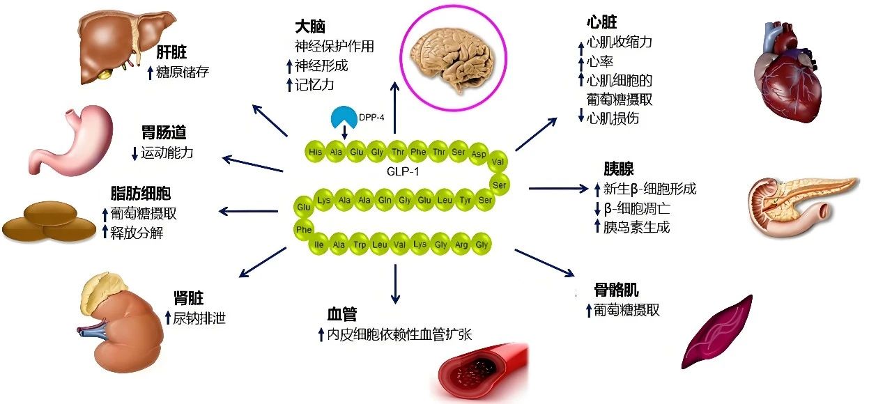 微信图片_20250319094904.jpg 微信图片_20250319094904.jpg