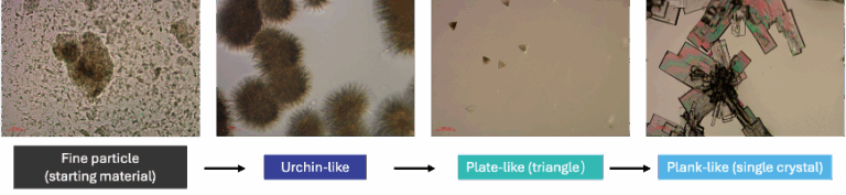 晶体大局.png